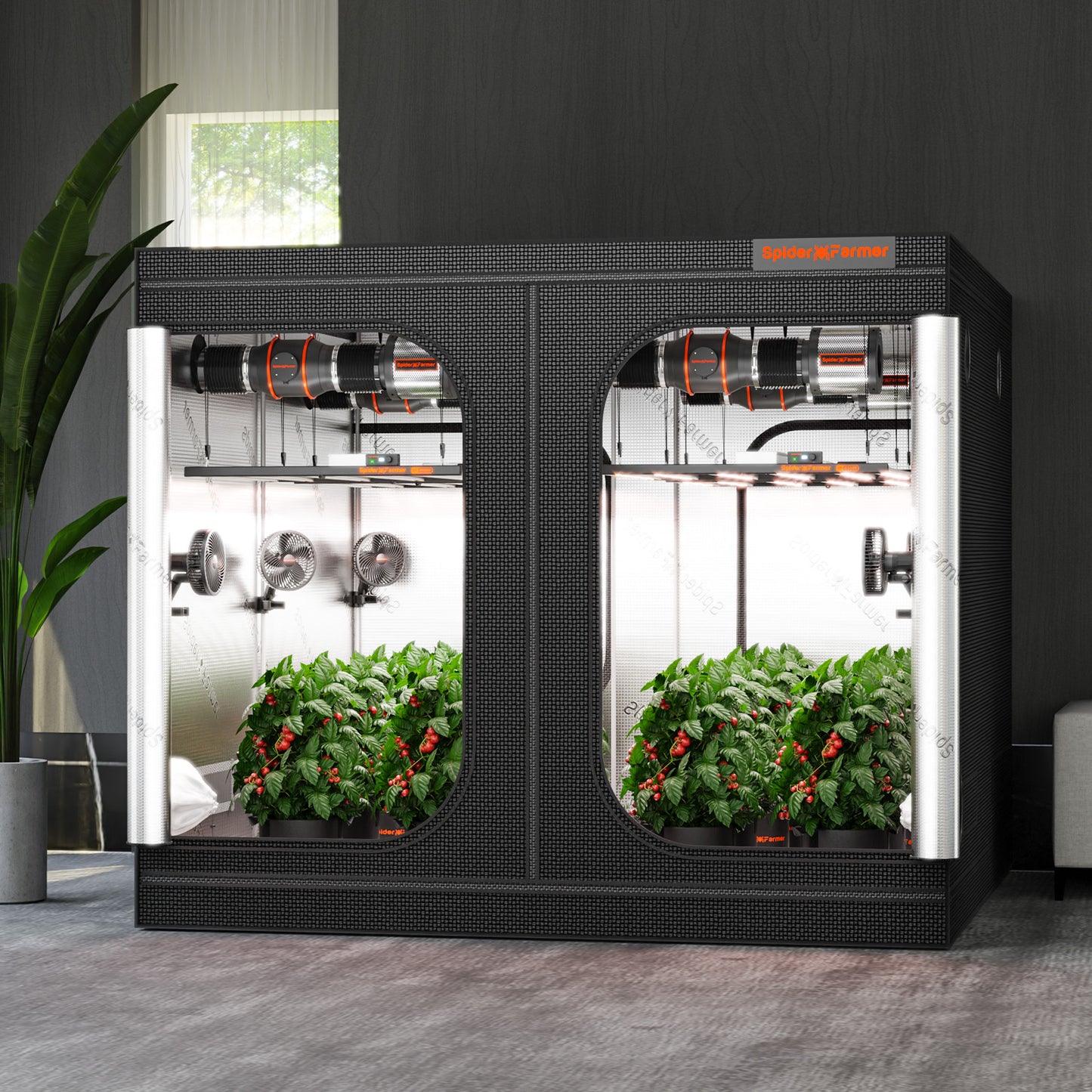 Spider Farmer Growbox 240x240x200cm