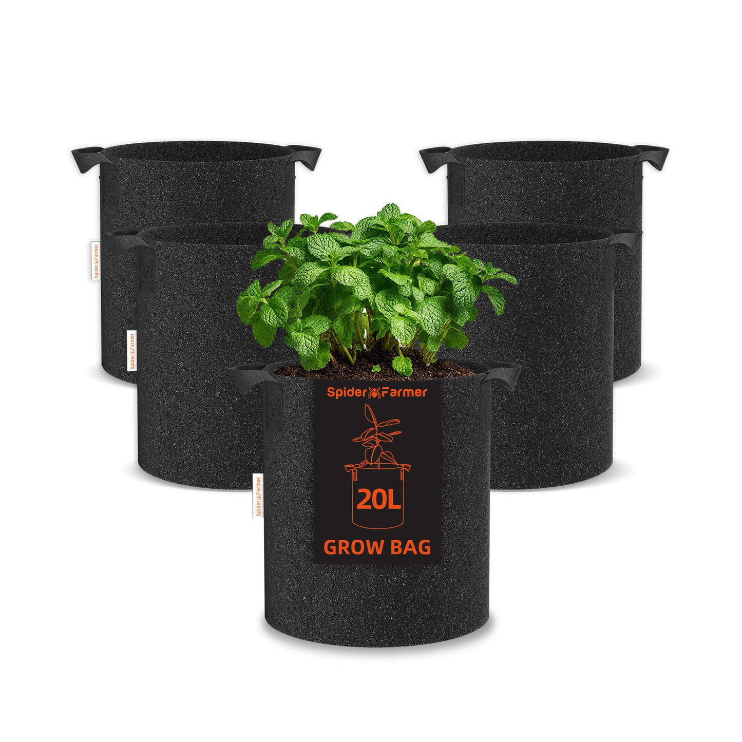 Spider Farmer SF4000 Komplettset 450W 120x120x200cm