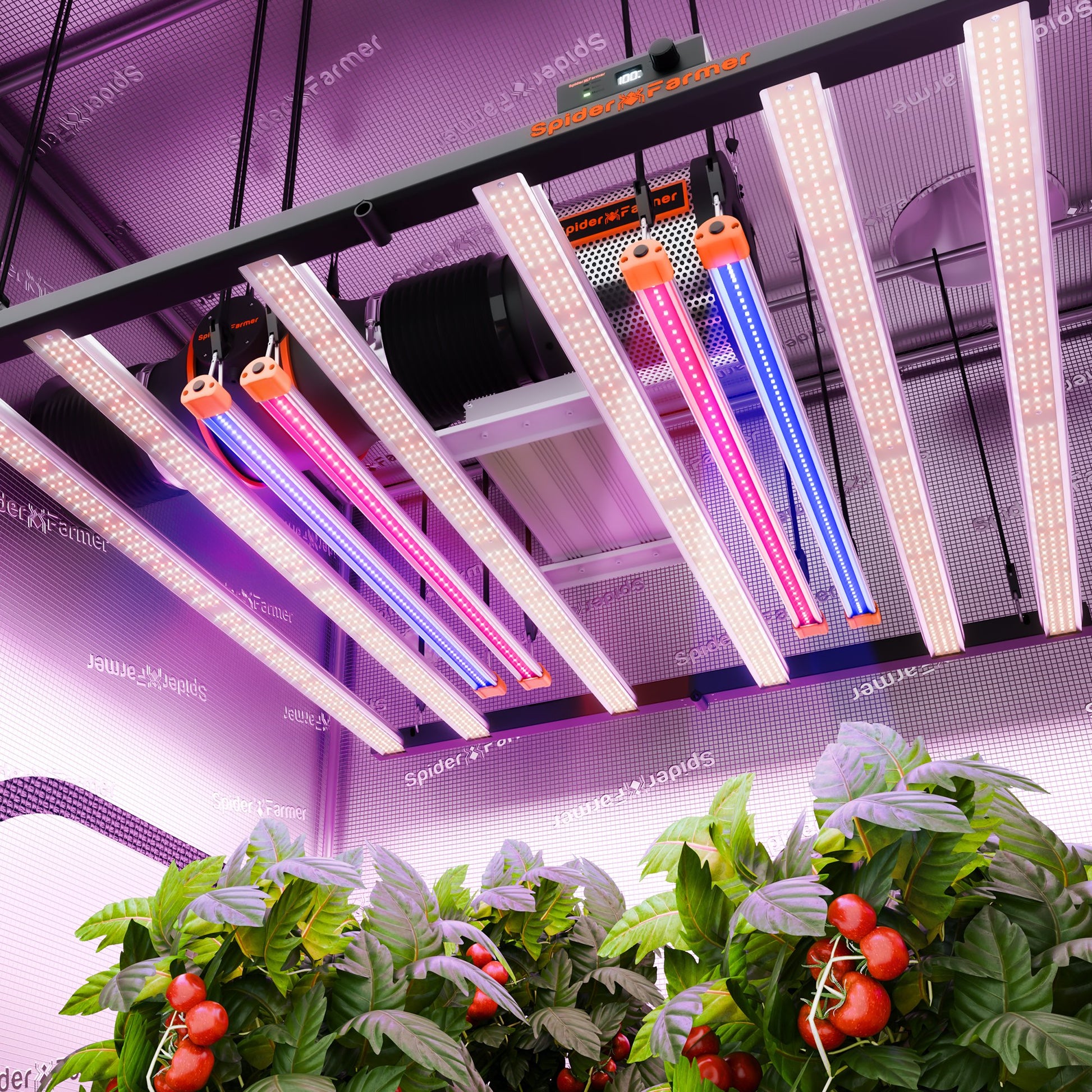 Spider Farmer UV30 & IR16 Supplemental LED