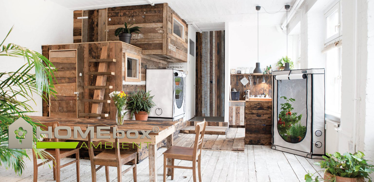 Übersicht HOMEbox Growboxen