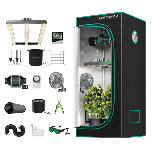 Growbox Komplettset Indoor vs Outdoor