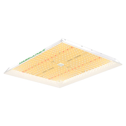 Mars Hydro TSW2000 300W Grow LED 100x100cm