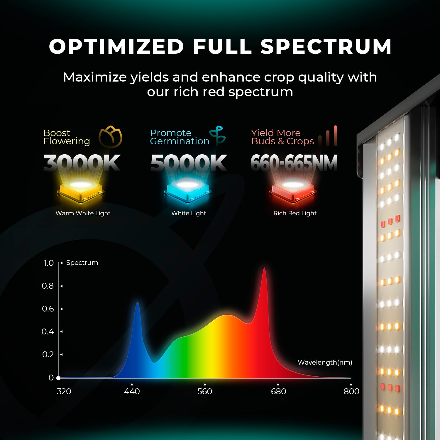 Mars Hydro FC-EVO 1000W LED Grow Lampe 150x150cm