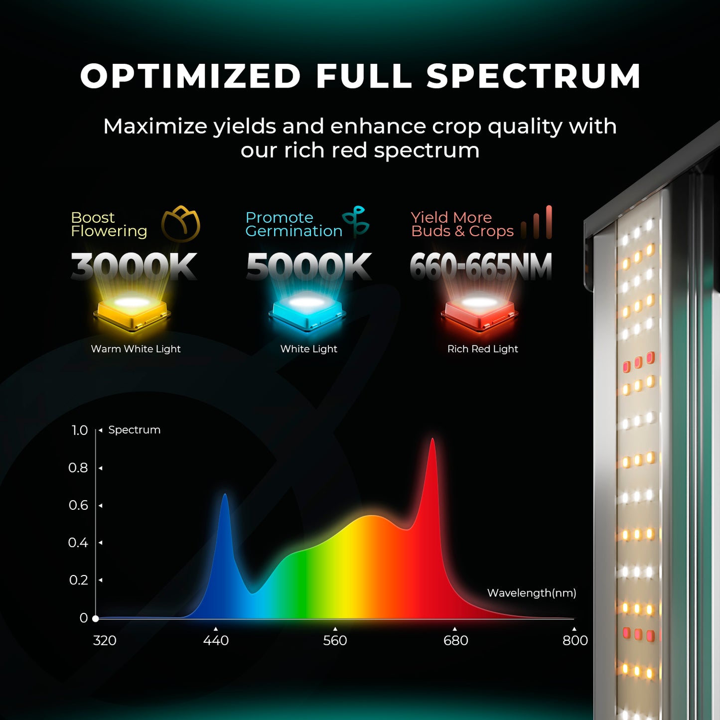 Mars Hydro FC 8000 EVO 800W LED Grow Lampe 150x150cm