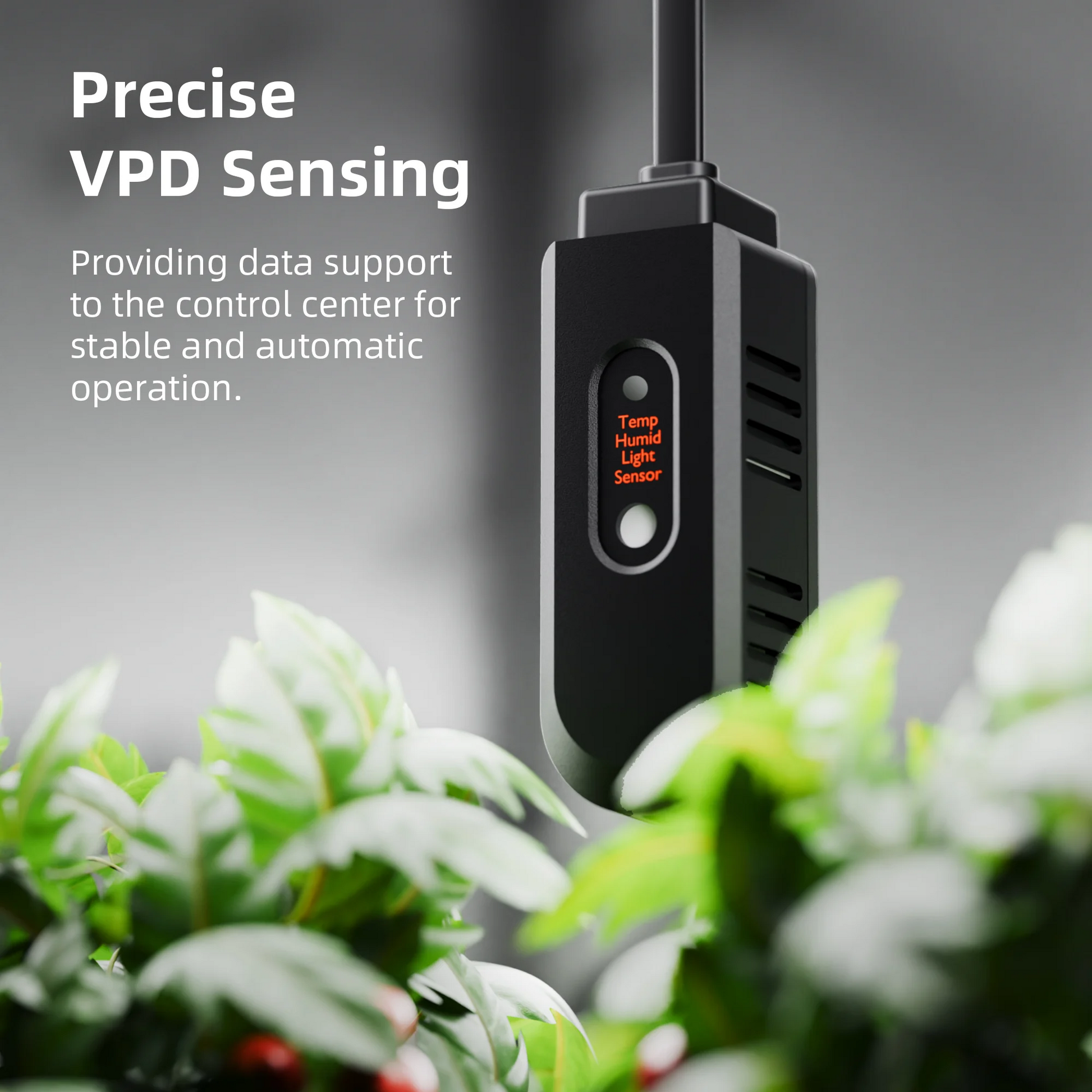 Spider Farmer Smarter Luftbefeuchter 5L