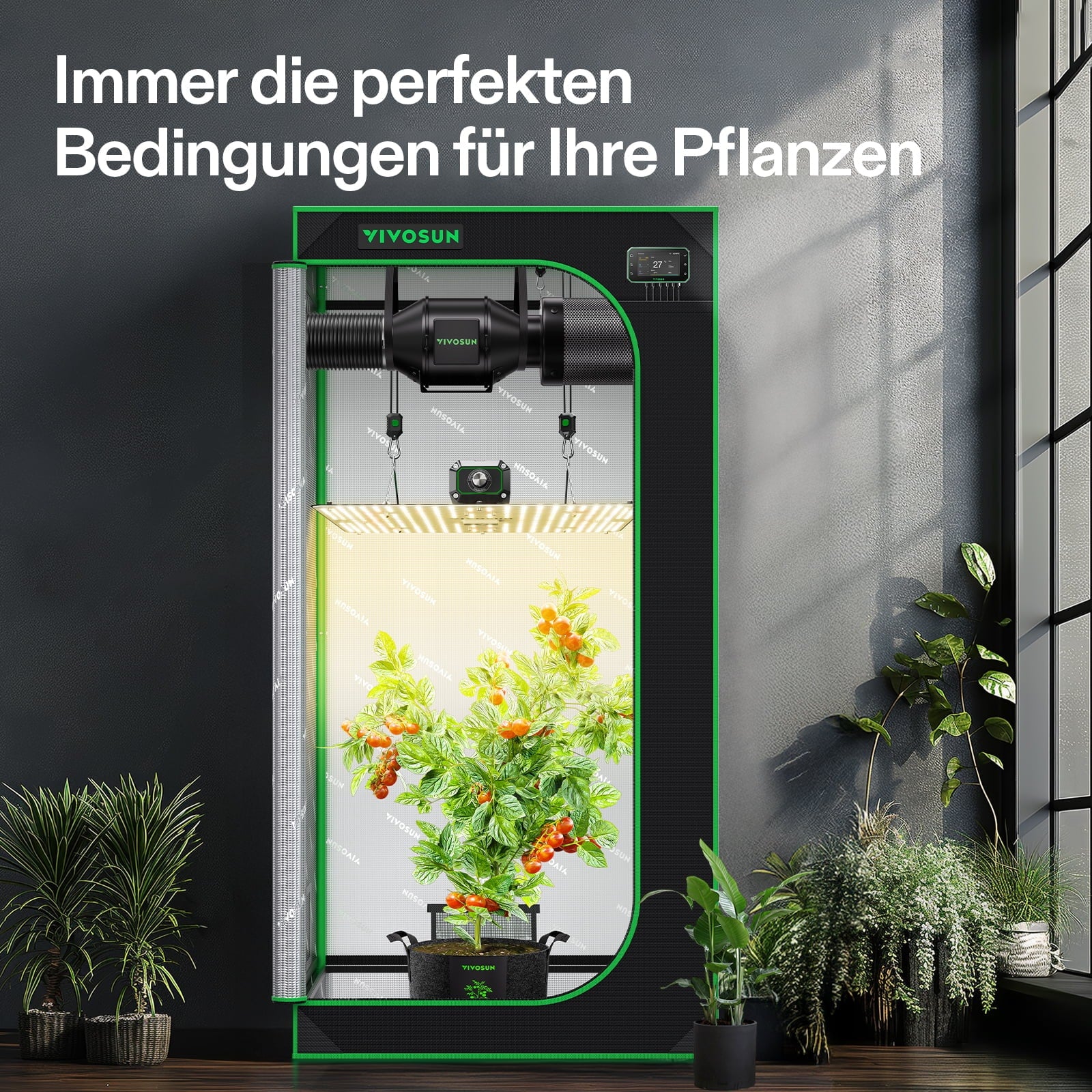 Vivosun Growbox 80x80x160cm - Innenansicht mit Pflanzen