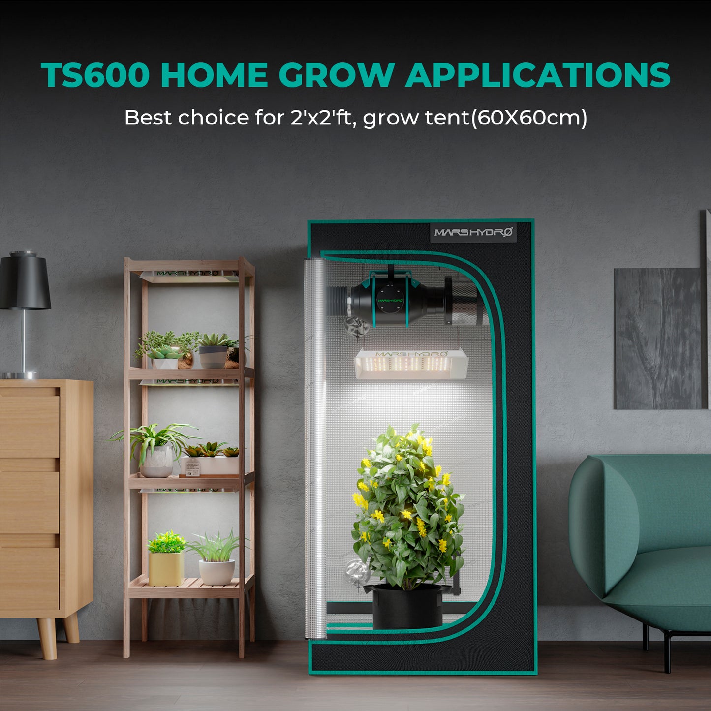 Mars Hydro TS600 100W Grow LED 60x60cm