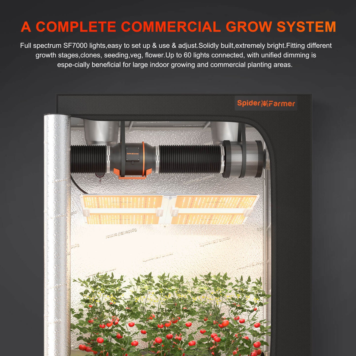 Spider Farmer SF7000 650W LED Grow Lampe 150x150cm