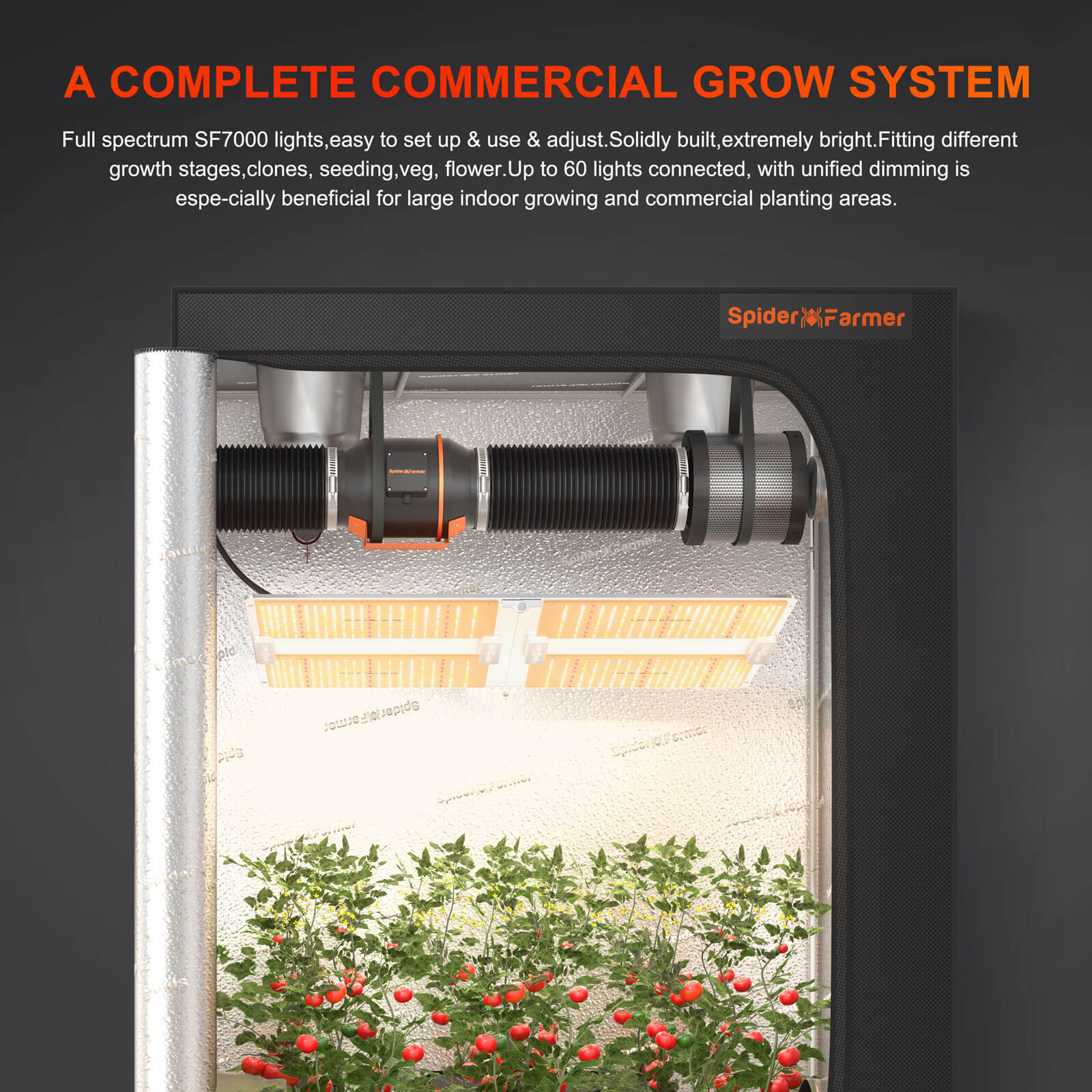 Spider Farmer SF7000 650W LED Grow Lampe 150x150cm