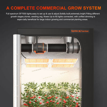 Spider Farmer SF7000 650W LED Grow Lampe 150x150cm