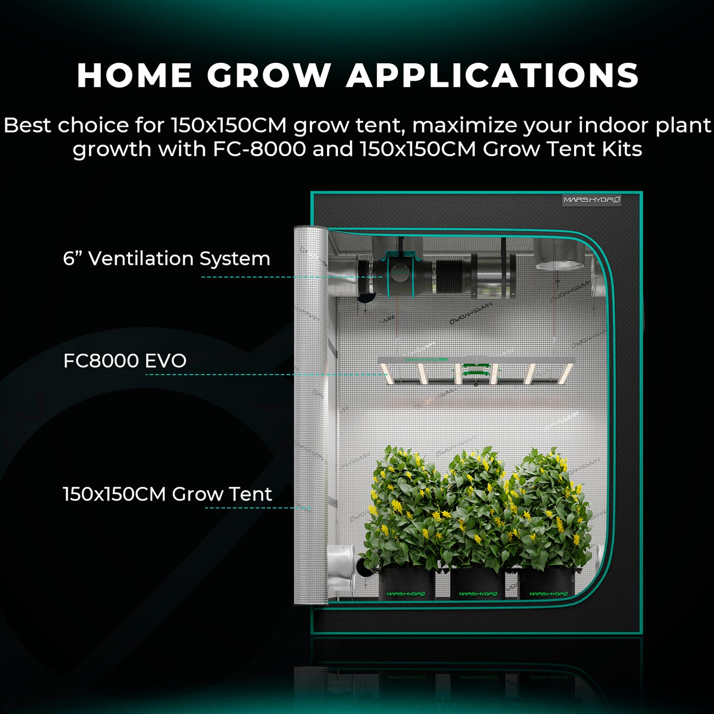 Mars Hydro FC 8000 EVO 800W LED Grow Lampe 150x150cm