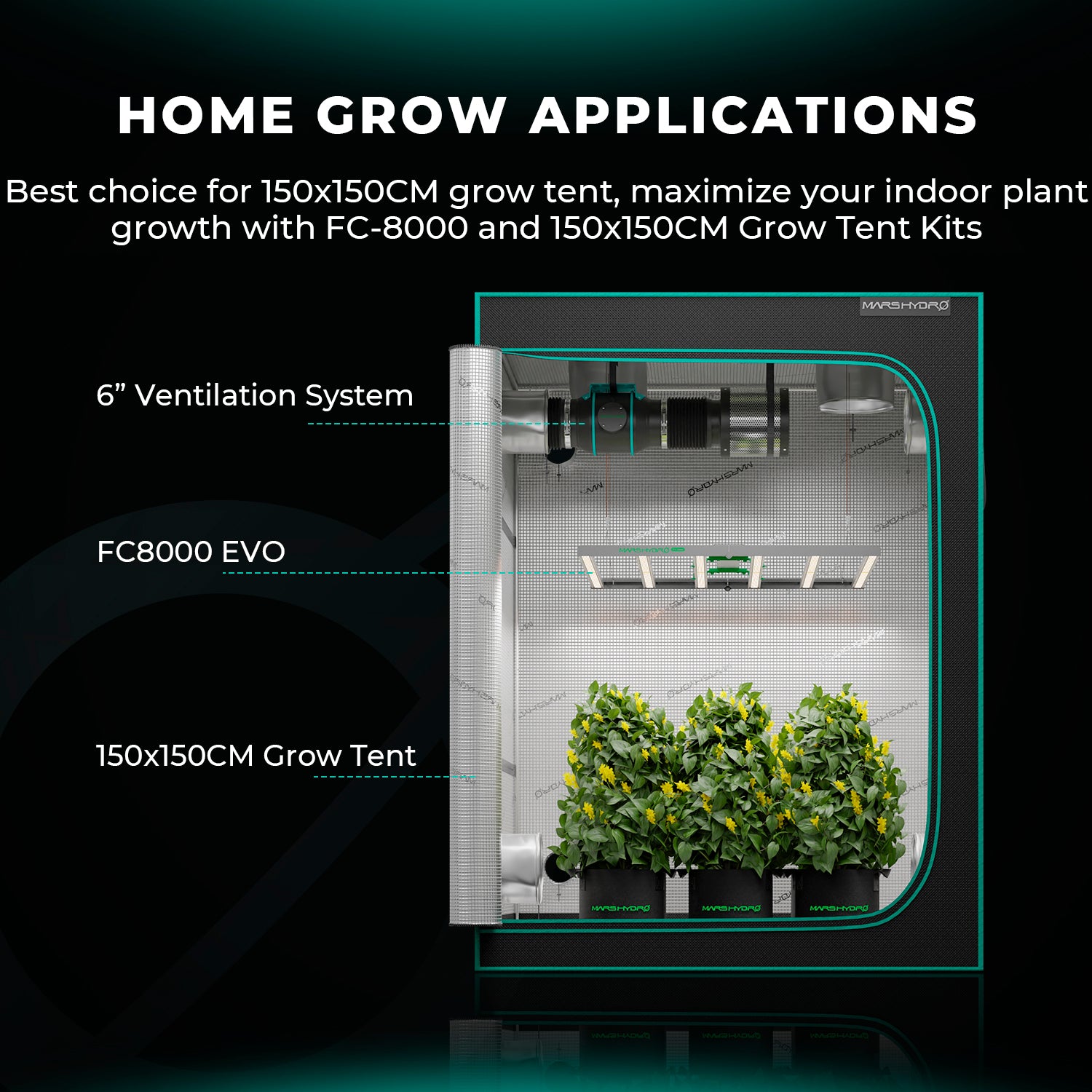 Mars Hydro FC 8000 EVO 800W LED Grow Lampe 150x150cm
