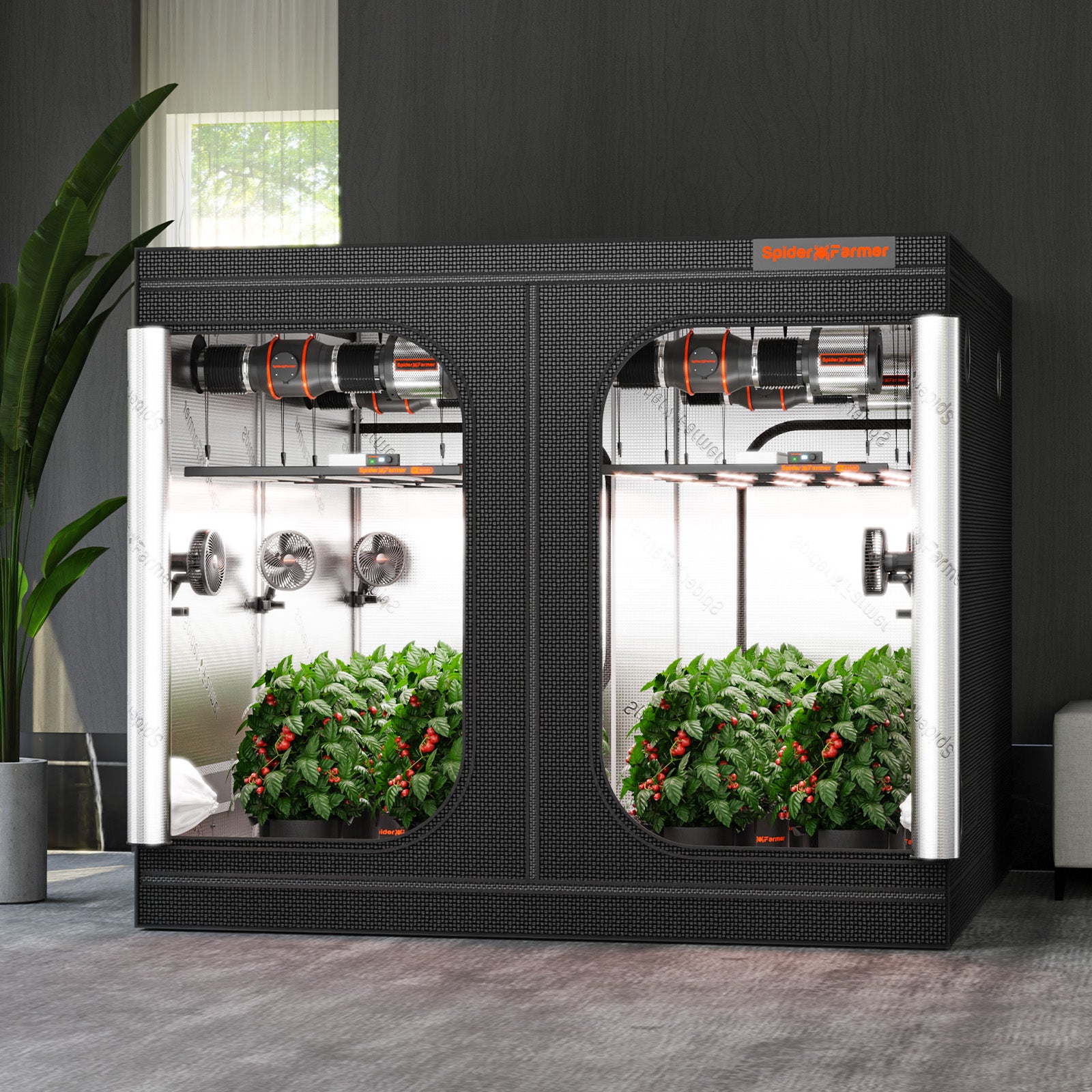 Spider Farmer Growbox 240x240x200cm