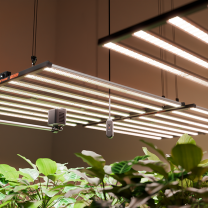 Spider Farmer GGS Sensorpro Kit