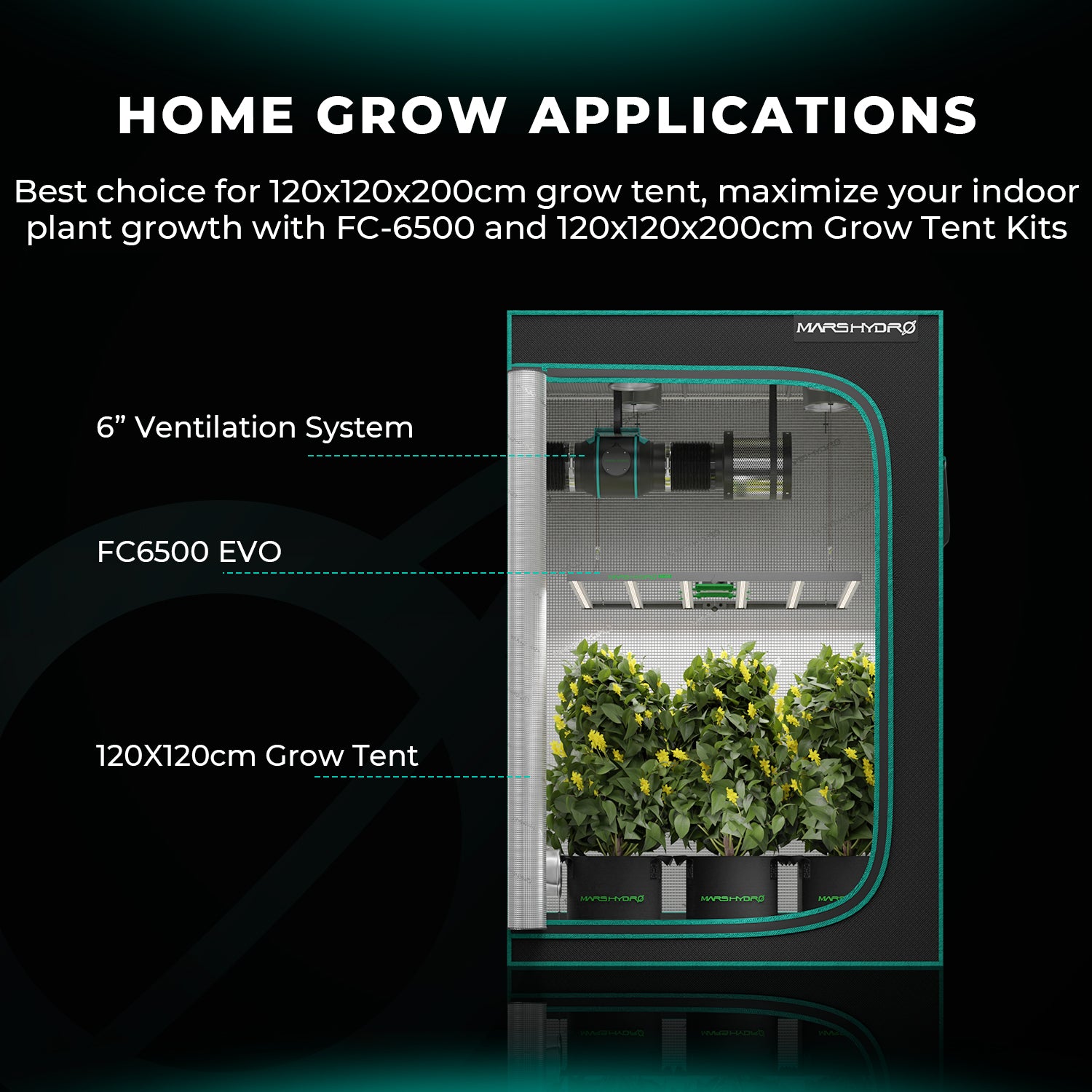 Mars Hydro FC 6500 EVO 730W LED Grow Lampe 150x150cm
