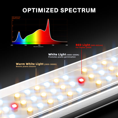 SE3000 Spectrum Ratio