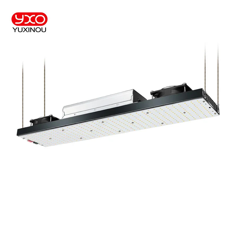 YXO LED 240W