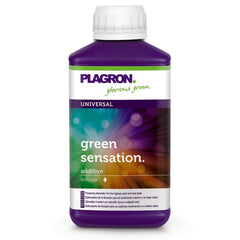 Plagron Green Sensation 250ml Flasche