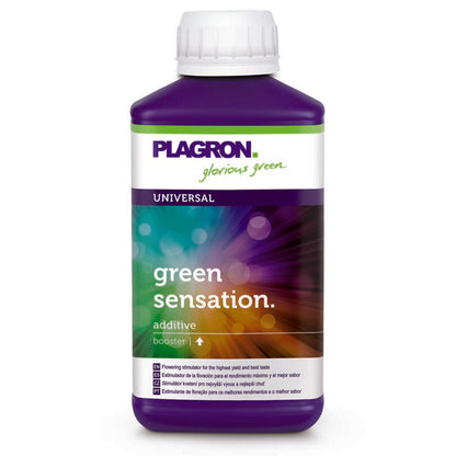 Plagron Green Sensation 250ml Flasche