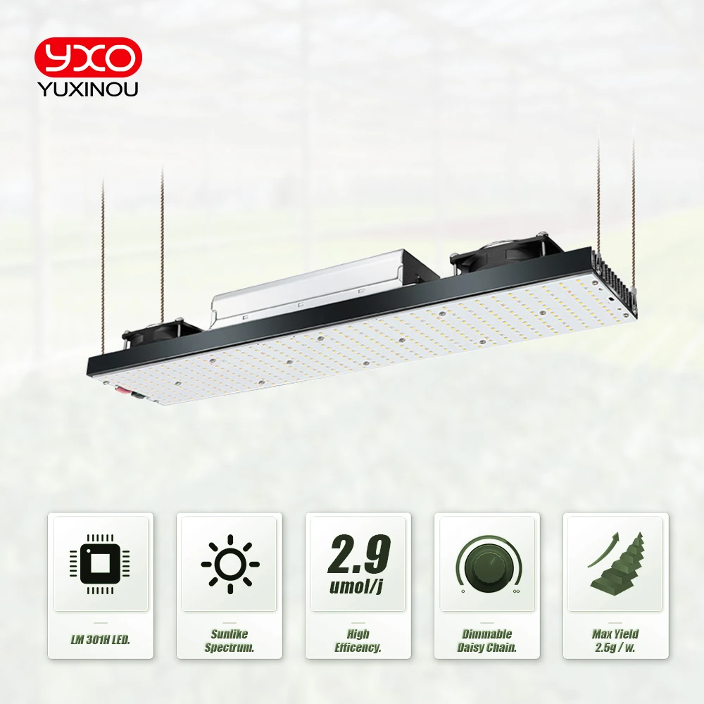 YXO Grow LED 240W