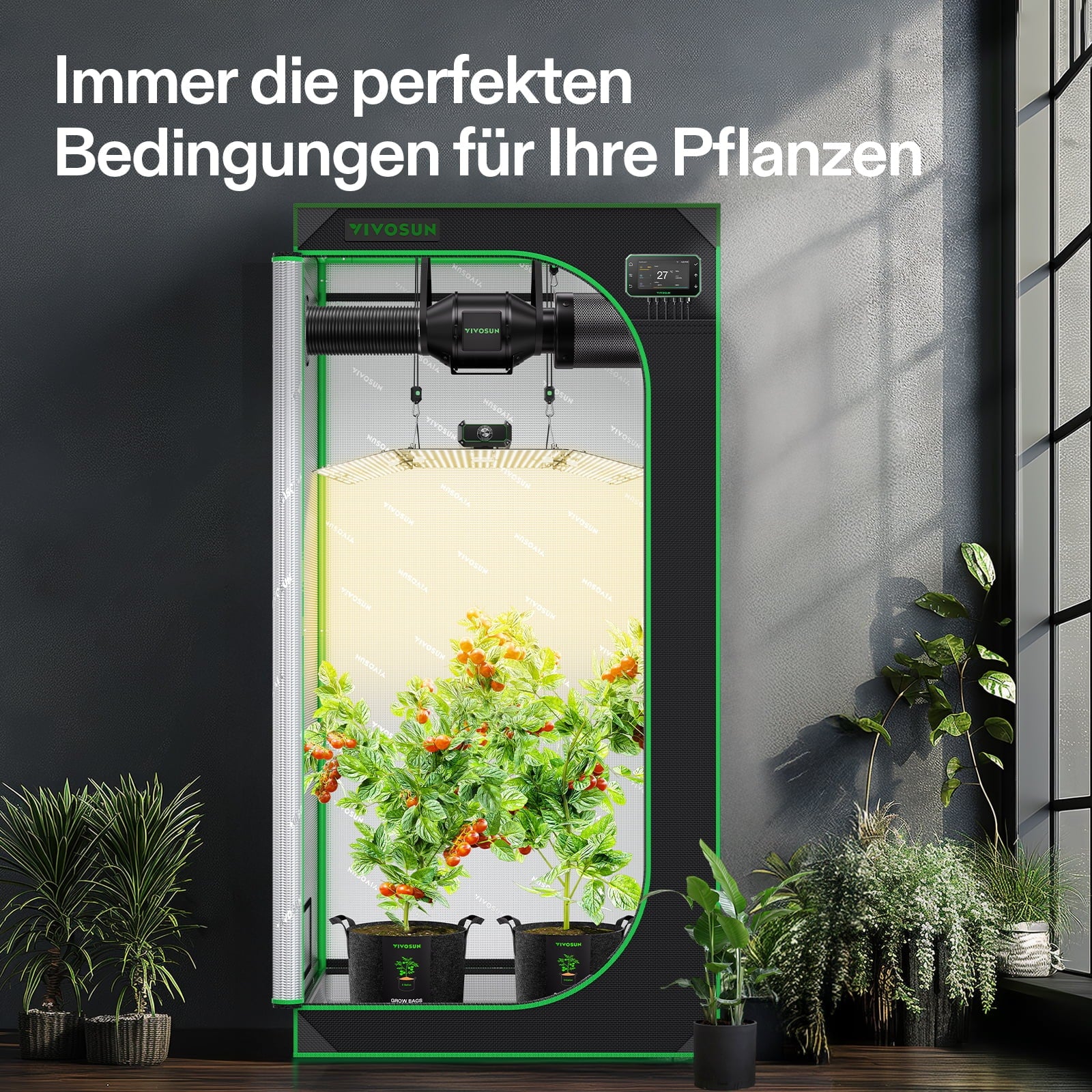 Vivosun Komplettset 90x90 - Growzelt mit Pflanzen