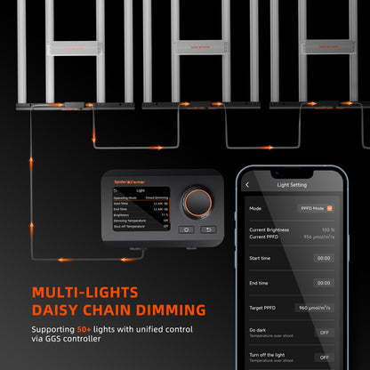 SE3000 Daisy Chain Multi Light Control