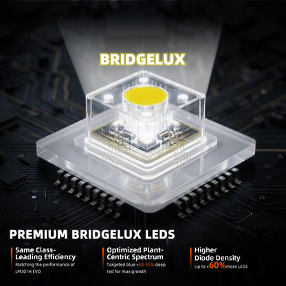 SE3000 Bridgelux 3030 Dioden