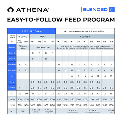 Athena Blended Line Starter Kit - Set Inhalt