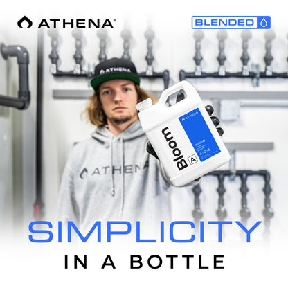 Athena Blended Line Starter Kit - Übersicht