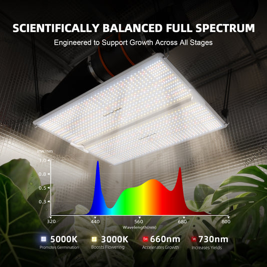 Spider Farmer SF4000 LED Grow Lampe Detailansicht