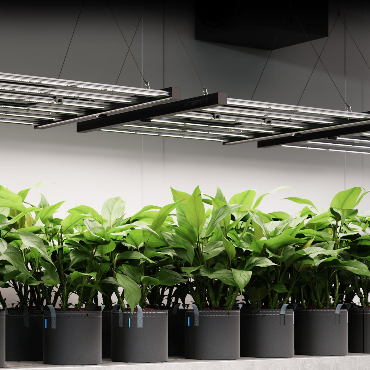 AC Infinity IONFRAME EVO3 Grow LED 280W – Detail- oder Anwendungsansicht; zusätzliches Zubehör in Beispielen separat erhältlich