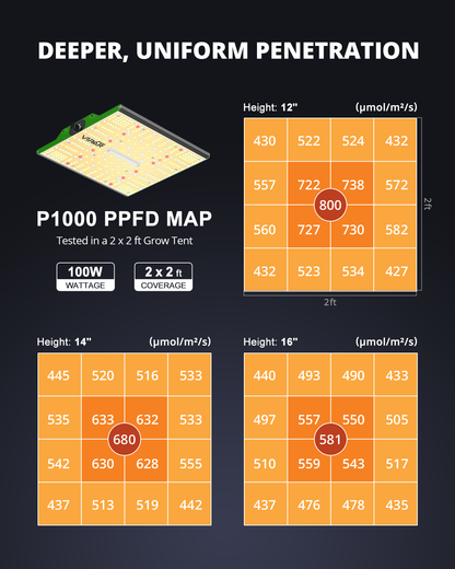 Viparspectra P1000 PPFD Map