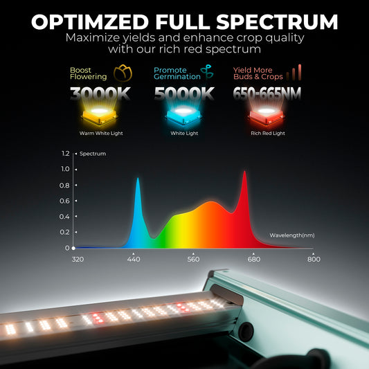 Mars Hydro FC 4800 480W Grow LED 120x120cm