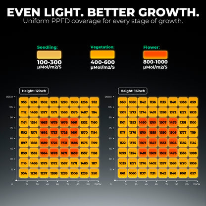 Mars Hydro FC 8000 800W LED Grow Lampe 150x150cm