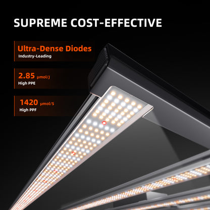 Spider Farmer G5000 – Anordnung der LED-Dioden