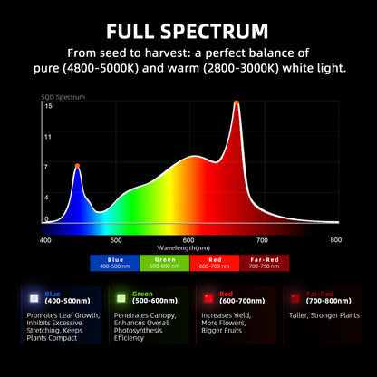 Spider Farmer G5000 – Vollspektrum-Infografik des Herstellers