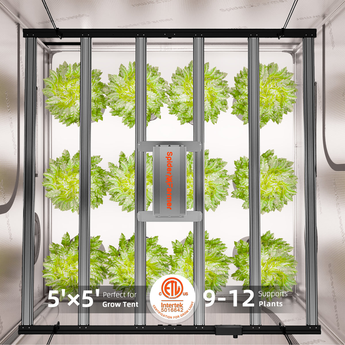 Spider Farmer – Herstellerinfografik zur Zeltmontage aus der G5000-Galerie