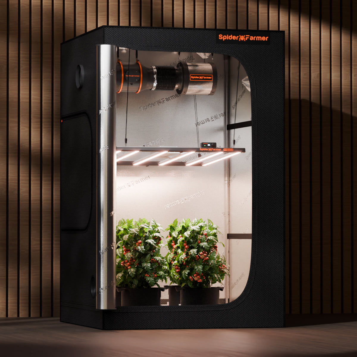 Spider Farmer G5000 – Anwendungsbeispiel im Growzelt