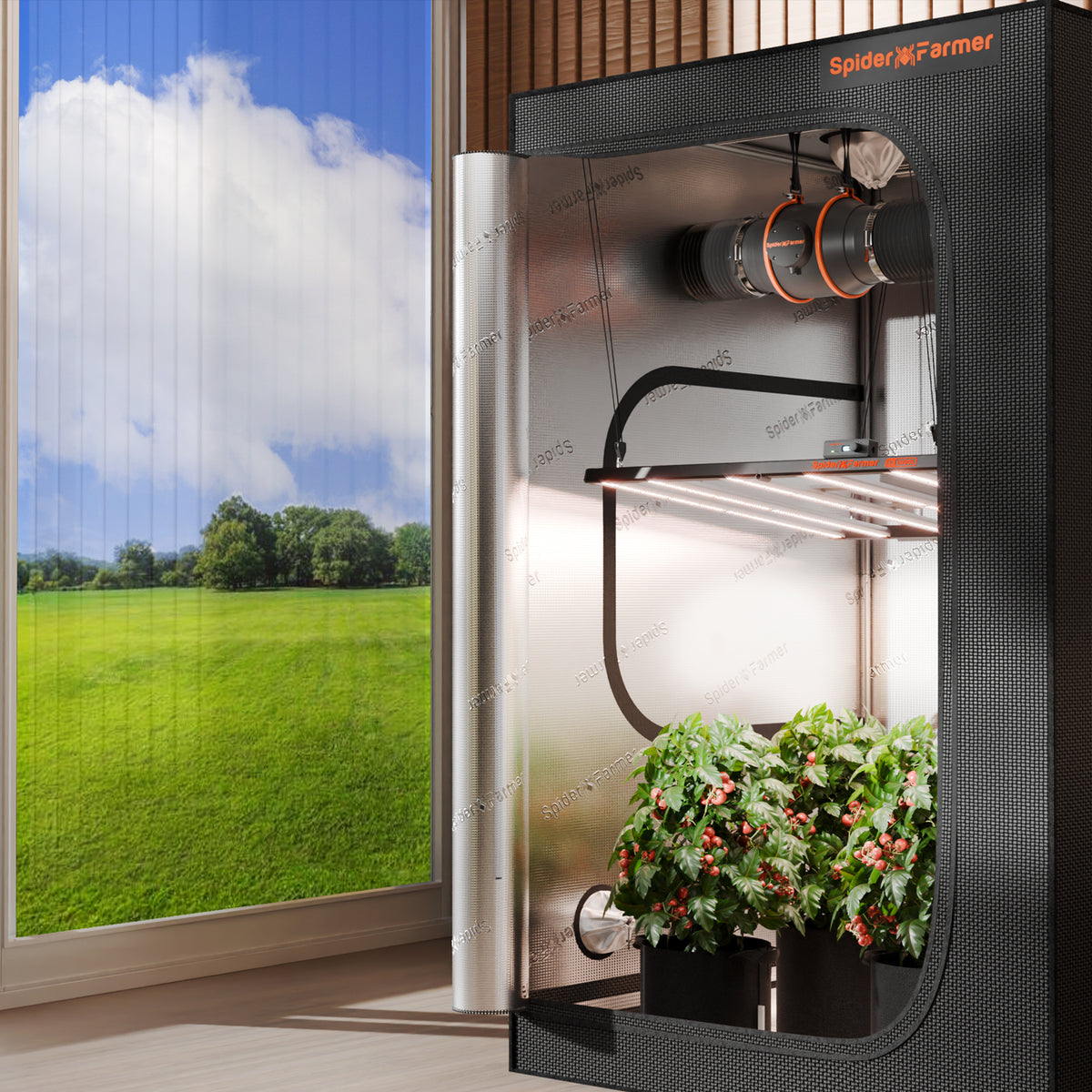 Spider Farmer G5000 – Anwendungsbeispiel mit geöffnetem Growzelt