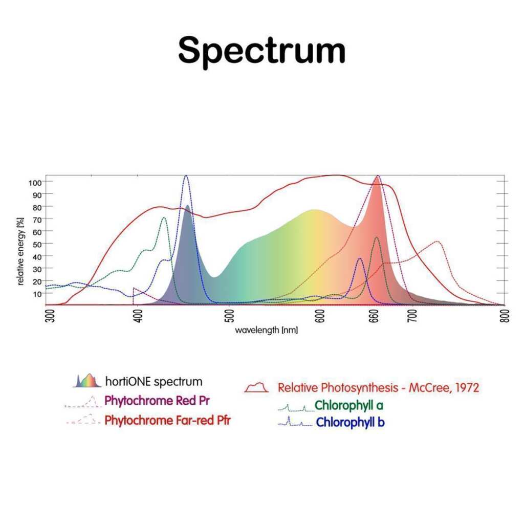 hortiOne Grow LED
