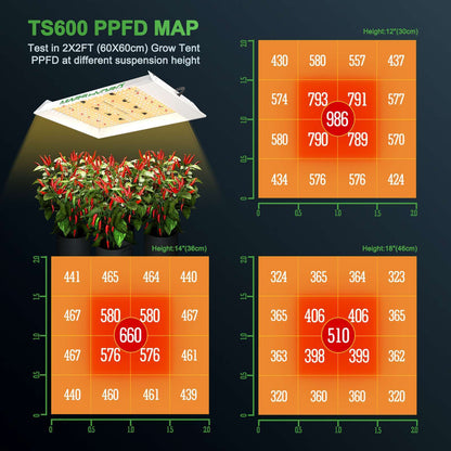 Mars Hydro Growbox + LED