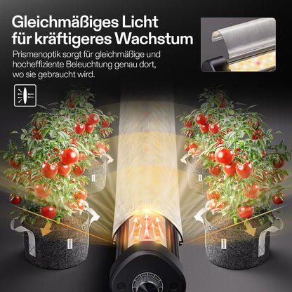 Vivosun LumaRay Under Canopy LED-Zusatzlicht 100W – Herstelleransicht 5