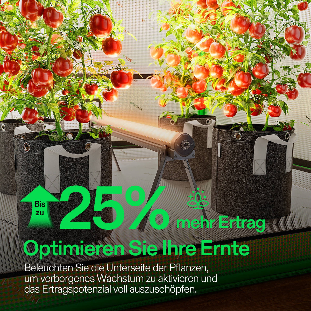 Vivosun LumaRay Under Canopy LED-Zusatzlicht 100W – Herstelleransicht 2