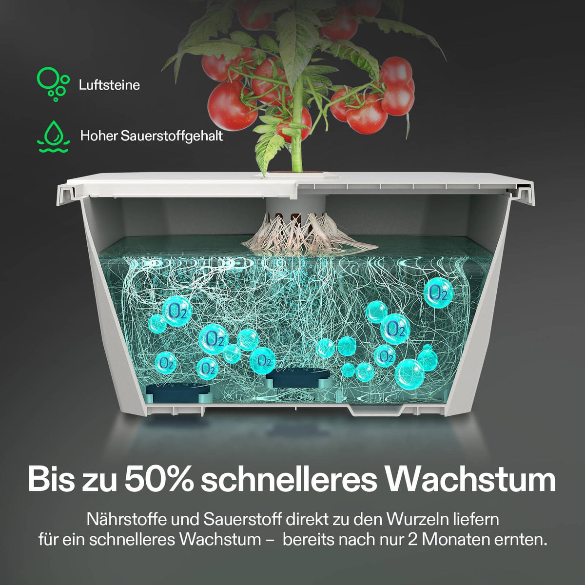 Vivosun VGrow Y18 Growbox Komplettset mit DWC 100W – Herstellerinformation und Anwendungsbeispiel 5