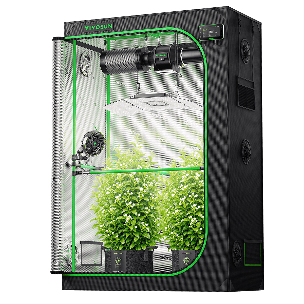 Vivosun Pro G2 Growbox Komplettset 120x60x180cm 240W – Anwendungsansicht mit Beispielpflanzen