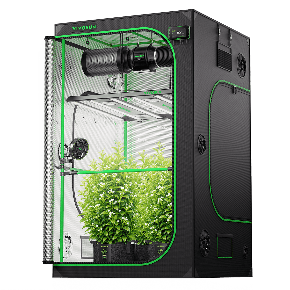 Vivosun Pro G2 Growbox Komplettset 120x120x200cm 550W – Anwendungsansicht mit Beispielpflanzen