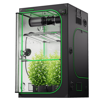 Vivosun Pro G2 Growbox Komplettset 120x120x200cm 550W – Anwendungsansicht mit Beispielpflanzen