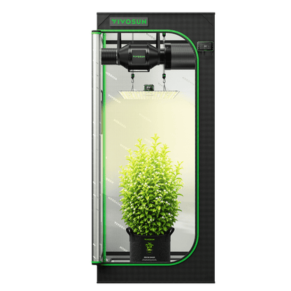 Vivosun G2 Growbox Komplettset 70x70x160cm 150W – Herstellerinformation und Anwendungsbeispiel