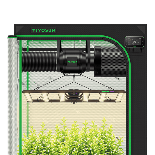 Vivosun G2 Growbox Komplettset 120x120x200cm 500W – Produkt- und Anwendungsansicht, Pflanzen als Beispiel