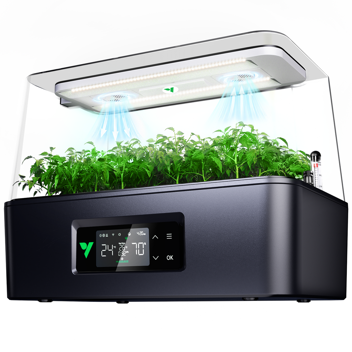Vivosun VSeed S40 Anzuchtbox Komplettset 30W LED – Produktansicht, Pflanzen als Beispiel